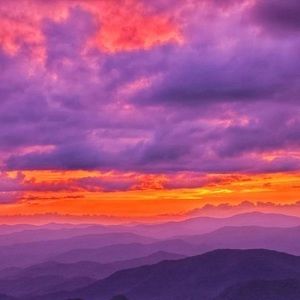 Meet your Posher, Leslie turner